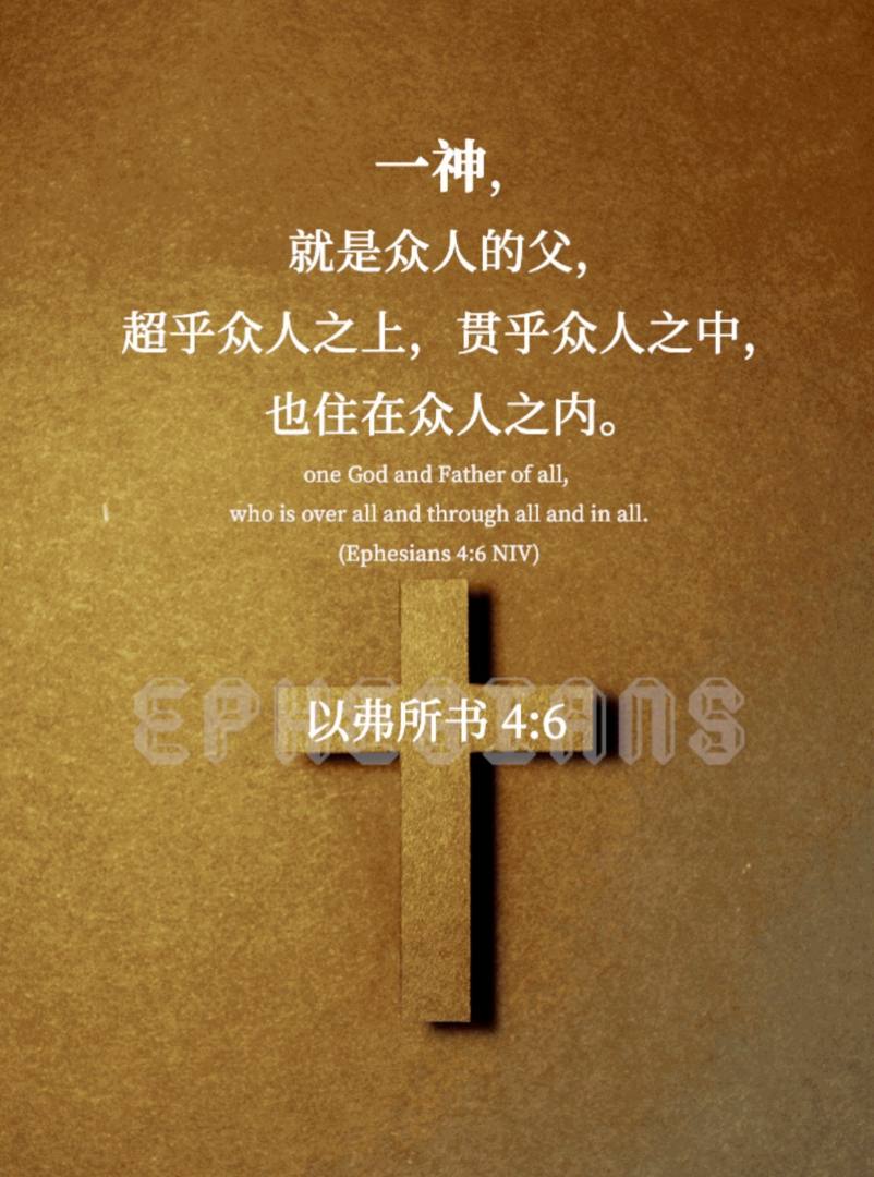 小小路加